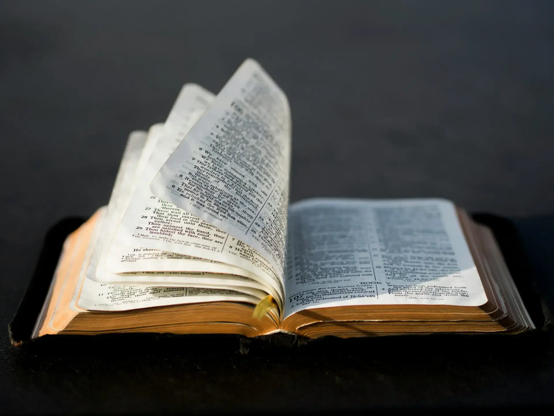 Biblia
