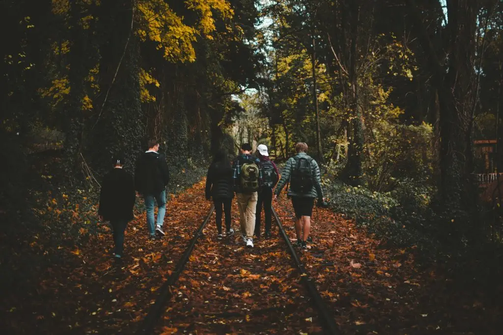 Group of teenagers walking in a fall landscape.