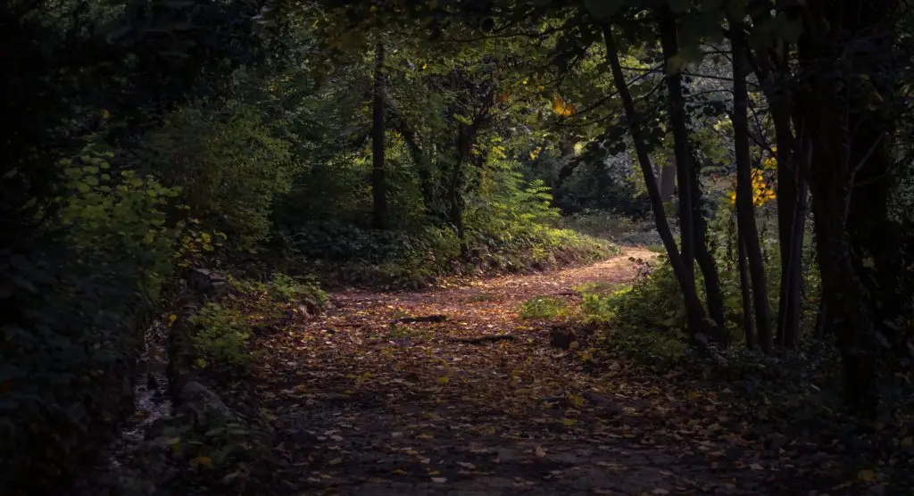 Steping onto the road of gospel advancing