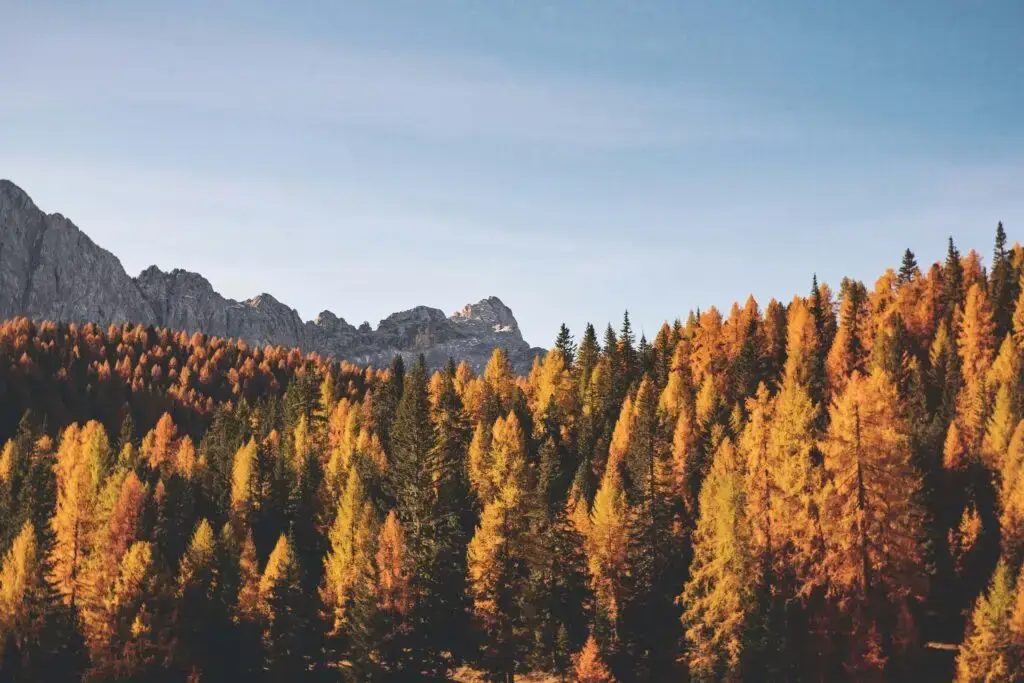 5 Fall Ideas for Youth Pastors
